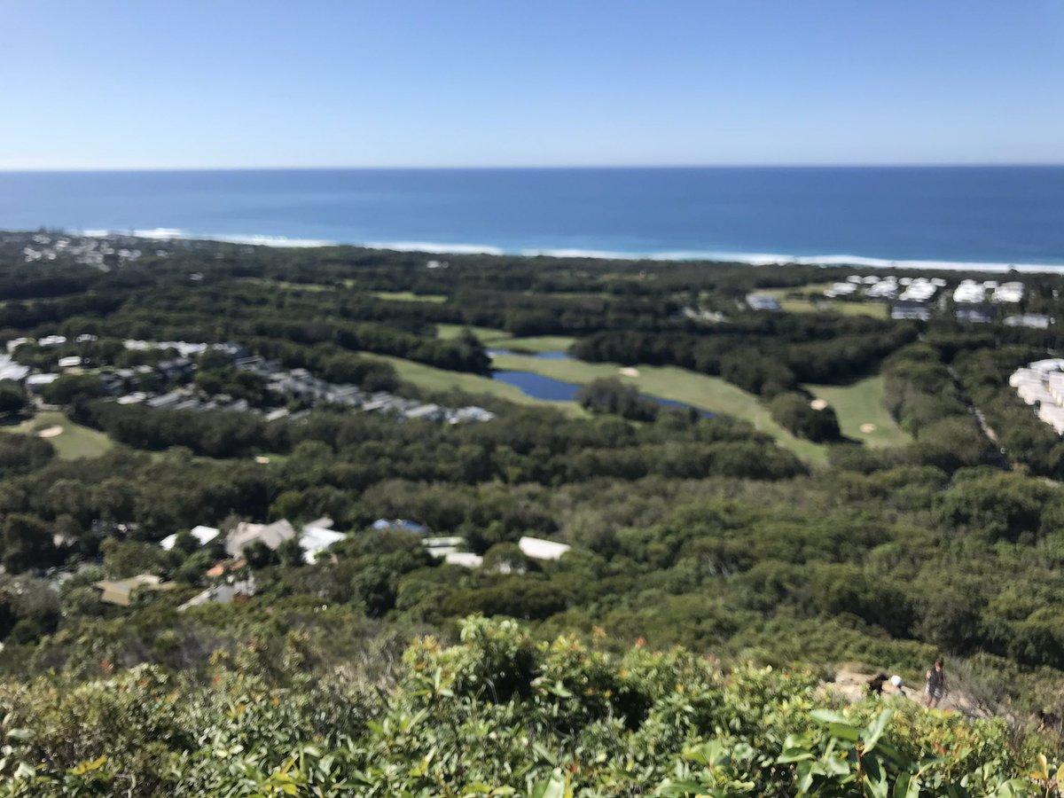 bobbie__digital's tweet photo. Climbed Mt Coolum yesterday and all I could think whilst at the top was; There’s only a few more sleeps till rugby league is back and I won’t have to fill my time with meaningless endeavours like this anymore https://t.co/X2s1v1IFwb