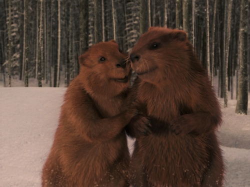 I have never appreciated the beavers in the newer films more