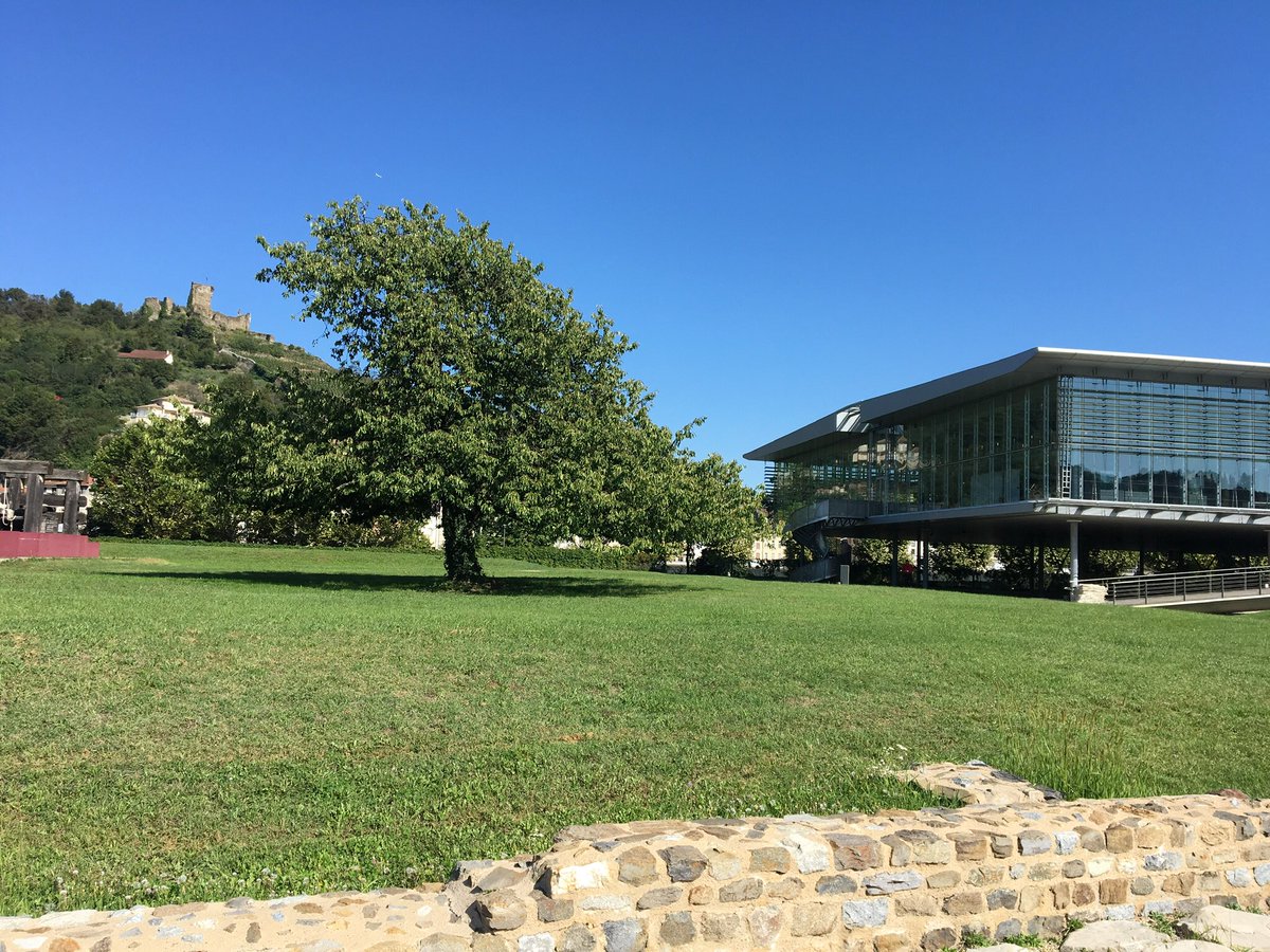 museesgallo's tweet photo. #mondaymotivation Intemporel site archéologique de Saint-Romain-en-Gal #CultureChezNous #evadezvous #moinsde100km #departementrhone #deambulation #serenite #serenity #nature https://t.co/EUnqRGnaHo