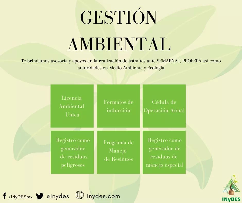 Inydes's tweet photo. Acercate a nosotros para una asesoría en materia de #GestiónAmbiental, somos expertos en guiarte para que puedas certificarte y gestionar correctamente tu tema. 🍃
Contamos además con aliados comerciales en materia de #DerechoUrbano y Ambiental.🌿
 Contactanos 55 5025 3829 https://t.co/Xz6jeYtLnd