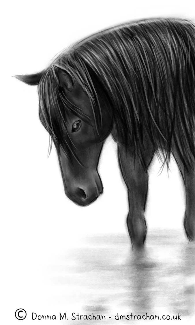 DonnaMStrachan's tweet photo. 10 yrs ago I started digital painting in #Mypaint and got hooked. I went back to my open source roots this week and sketched a few horses in Krita on #Linux.  So much fun! 💕 More #Krita art to come :) 
#opensource #Sketching #Horses https://t.co/1OmRb8GPq4