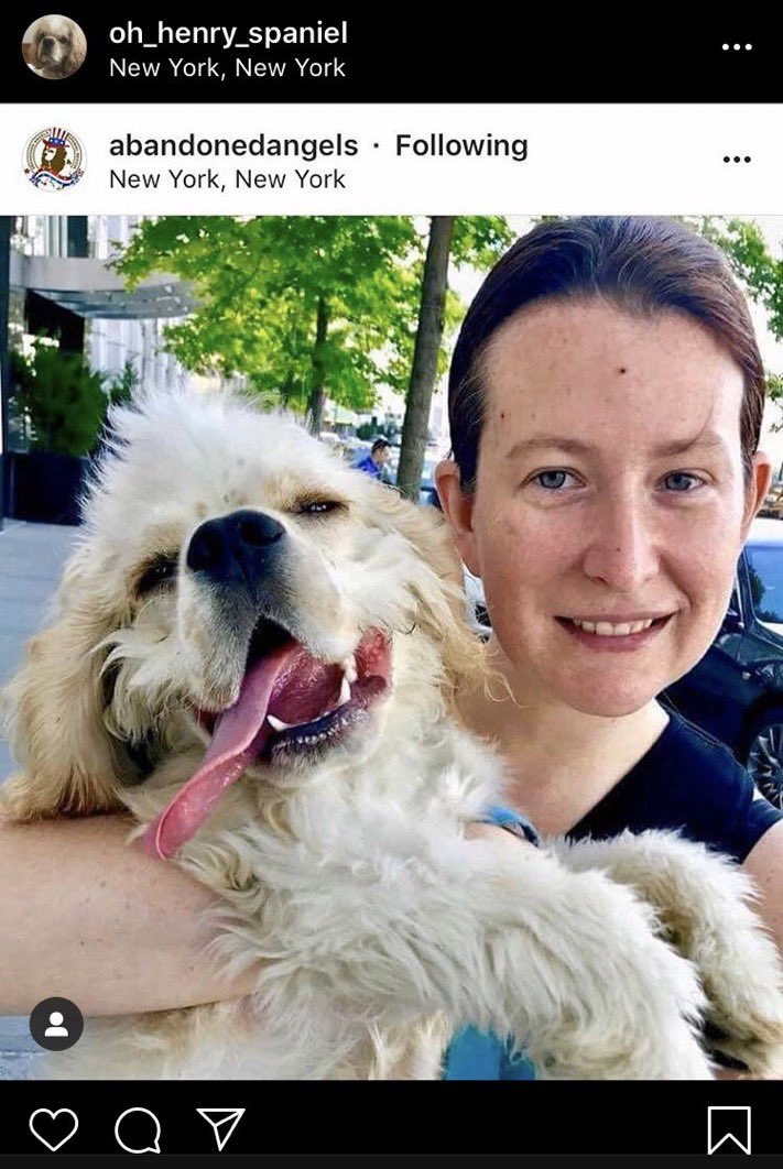 Someone who used to walk her dog ID’ed her on Twitter as Amy Cooper and her dog’s name is Henry.The dog has his own Instagram, oh_henry_spaniel, which she reportedly has deleted posts and has now made private.