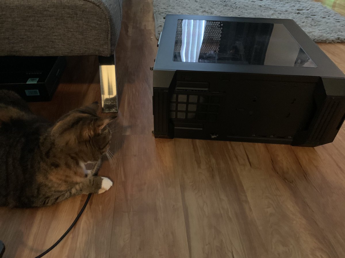 My cat has been in a one hour+ waco style standoff with a bug(??) she is CERTAIN she saw go inside this computer case (I have yet to see evidence of the alleged intruder) but she’s been circling it, pacing, pawing at it, waiting in anticipation to strike