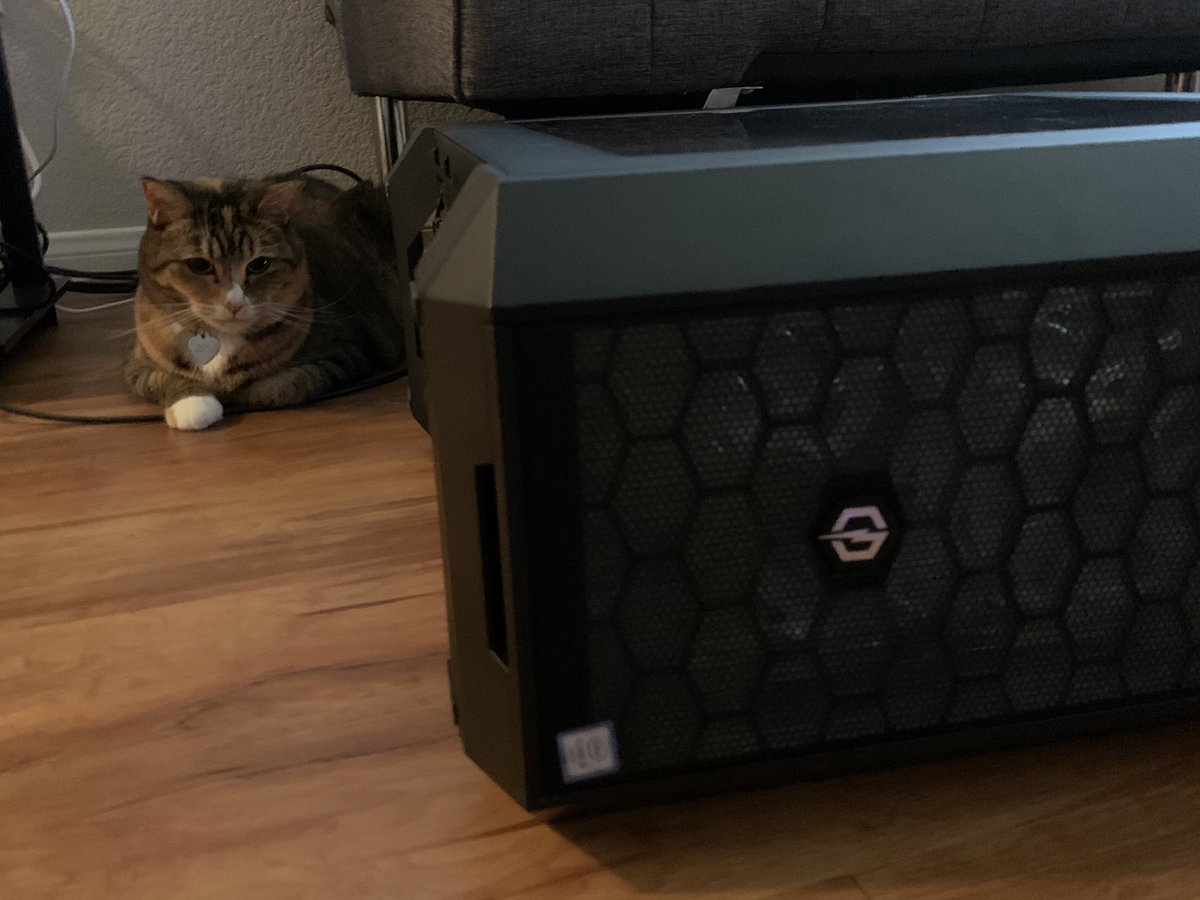 My cat has been in a one hour+ waco style standoff with a bug(??) she is CERTAIN she saw go inside this computer case (I have yet to see evidence of the alleged intruder) but she’s been circling it, pacing, pawing at it, waiting in anticipation to strike