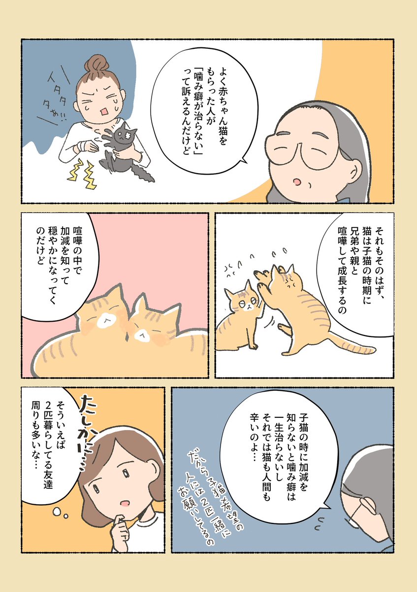 漫画 保護猫ちゃんを家に迎えるまでの話 が泣けるし勉強になるし猫さんがかわいいしでとりあえず見てほしい Togetter