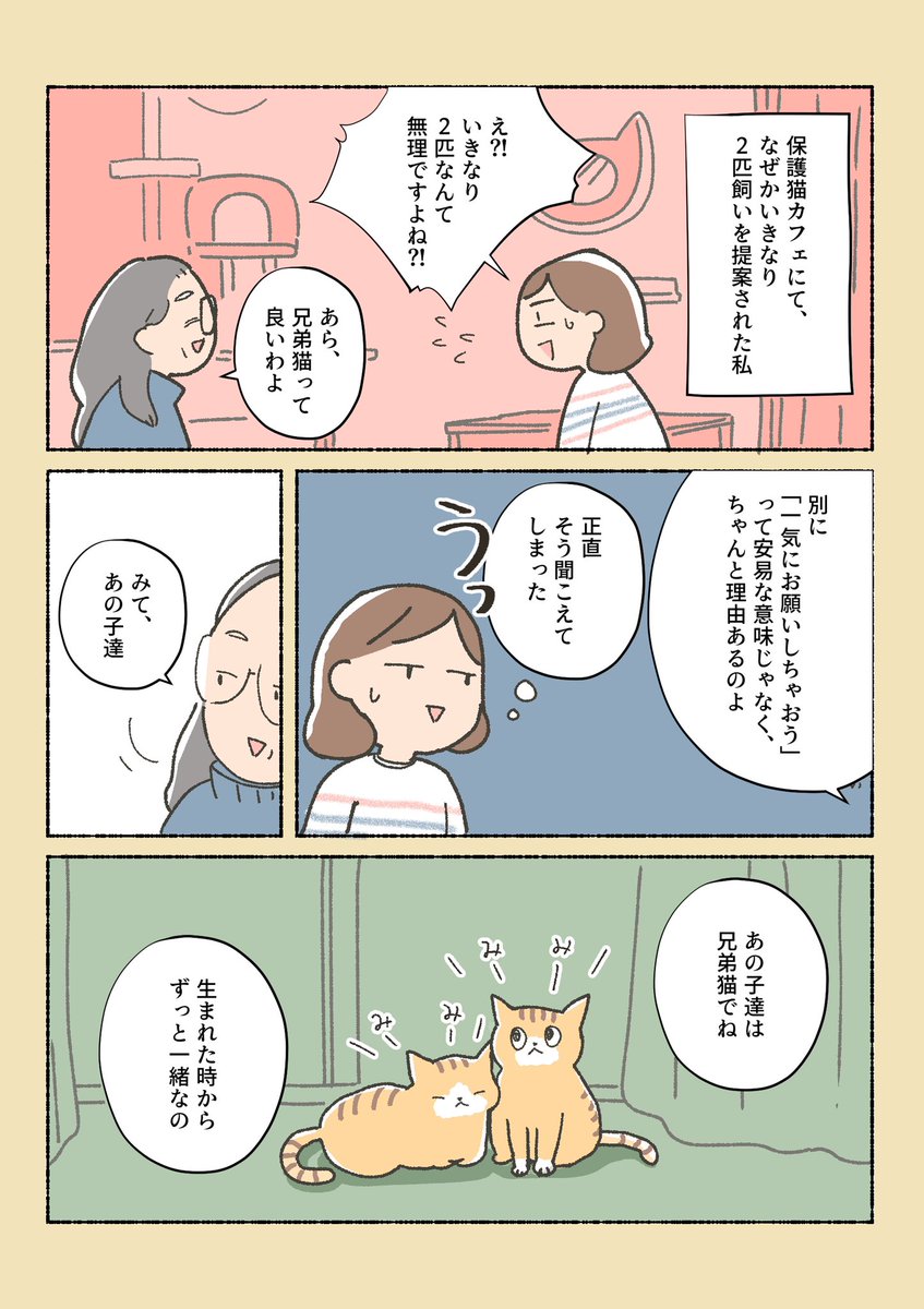 保護猫をお迎えするまでの話⑦

なんで2匹飼いを勧めるのか、の理由。

①から読んでくれる方、しばらく固定ツイに置いているのでぜひ〜! 