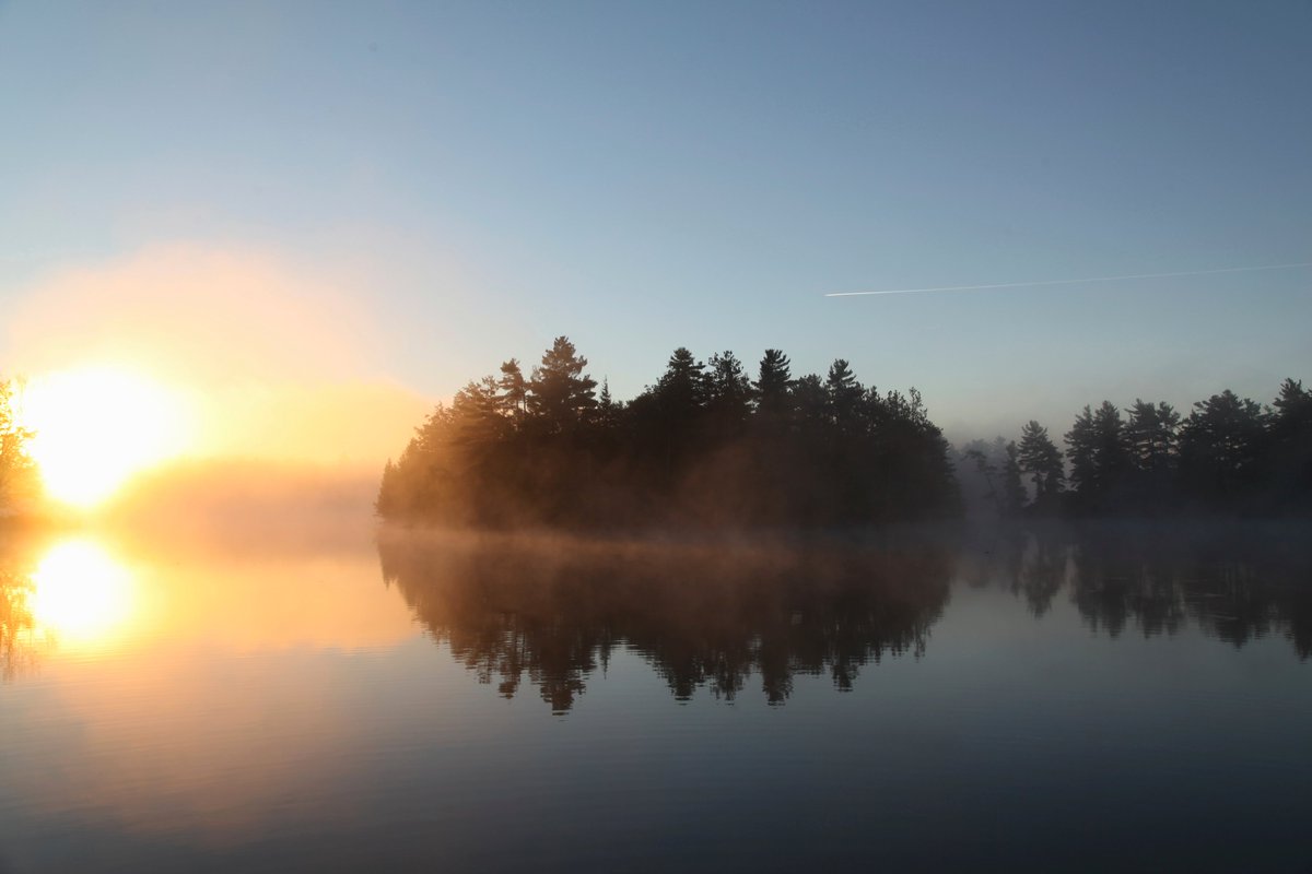 When most kids were on sports teams, I had an interest in nature which I largely kept to myself. Then I discovered the artwork and books of Robert Bateman who through his work, encouraged my passion and interest in the natural environment.  #conservation