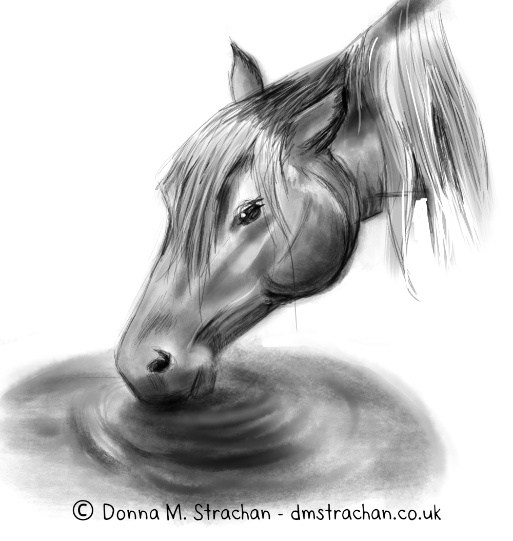 DonnaMStrachan's tweet photo. 10 yrs ago I started digital painting in #Mypaint and got hooked. I went back to my open source roots this week and sketched a few horses in Krita on #Linux.  So much fun! 💕 More #Krita art to come :) 
#opensource #Sketching #Horses https://t.co/1OmRb8GPq4
