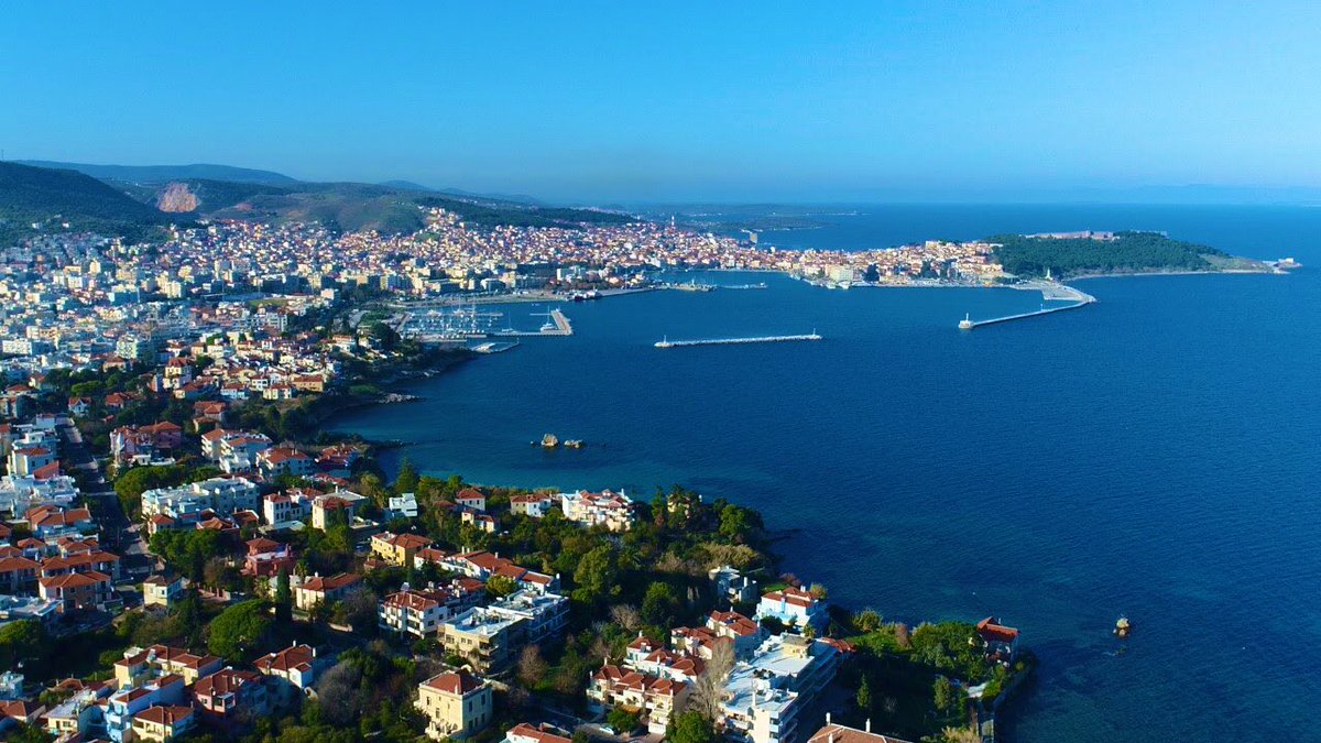 Professor Mary O’Shaughnessy tweet media