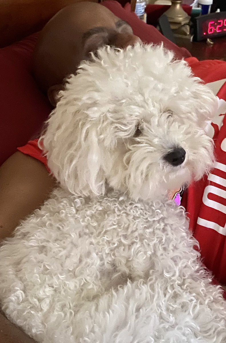 MJamesKy's tweet photo. Lazy day at the James house. Happy Memorial Day! โค๏ธโค๏ธ@CouncilmanJames
#DaddysBoy
#LifeWithCooper
#MyBoys https://t.co/tD4mlygrjj