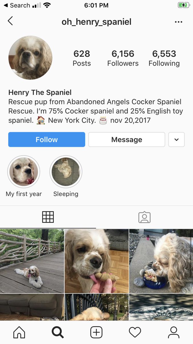 She’s already deleted her LinkedIn and also the dog’s Instagram account, but here’s a few screenshots I took before it went down.(Also, I’m sure Henry is a very good doggo and not at all racist like his owner.)