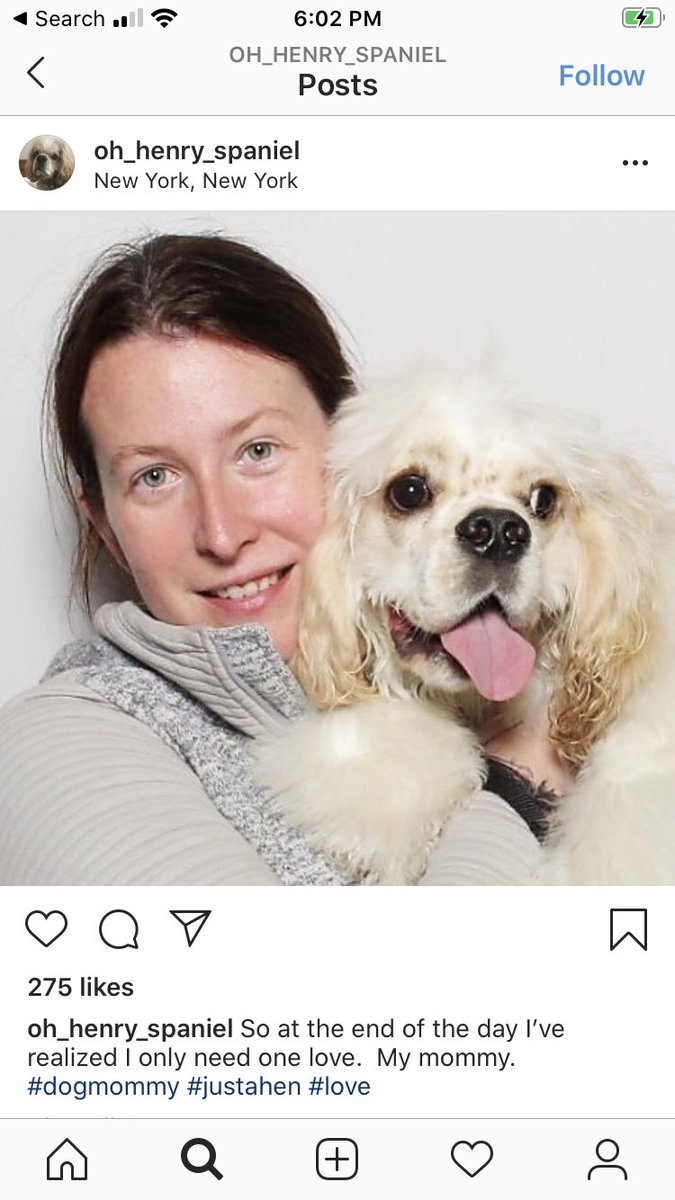 She’s already deleted her LinkedIn and also the dog’s Instagram account, but here’s a few screenshots I took before it went down.(Also, I’m sure Henry is a very good doggo and not at all racist like his owner.)