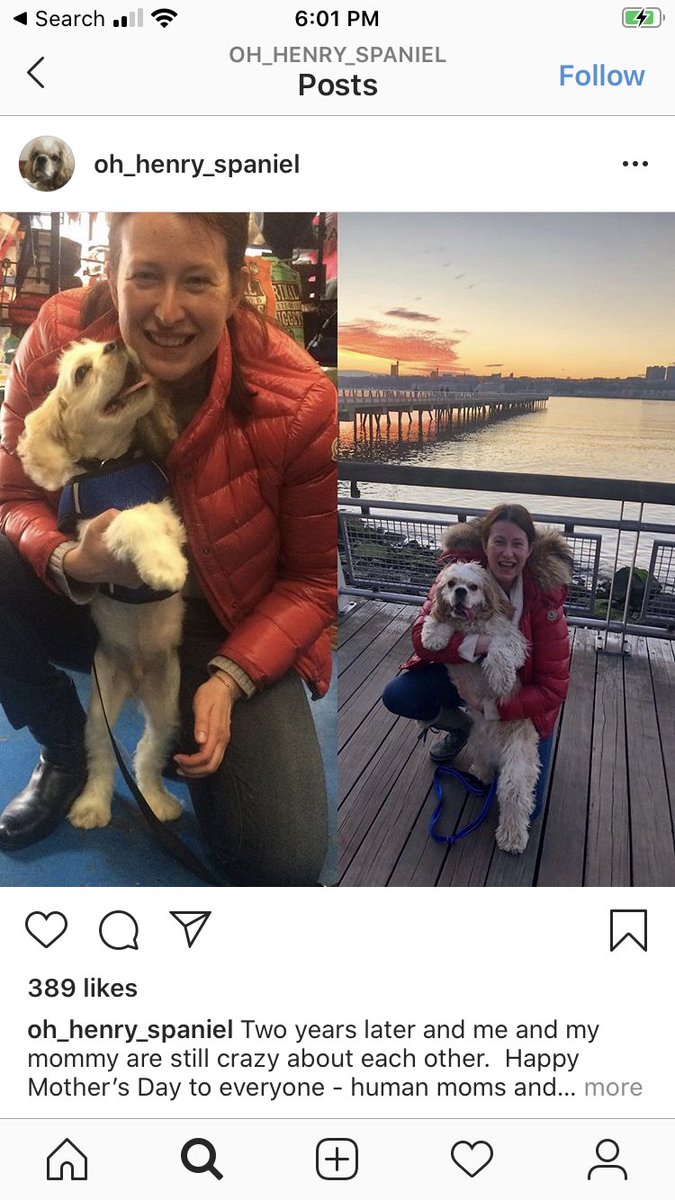 She’s already deleted her LinkedIn and also the dog’s Instagram account, but here’s a few screenshots I took before it went down.(Also, I’m sure Henry is a very good doggo and not at all racist like his owner.)