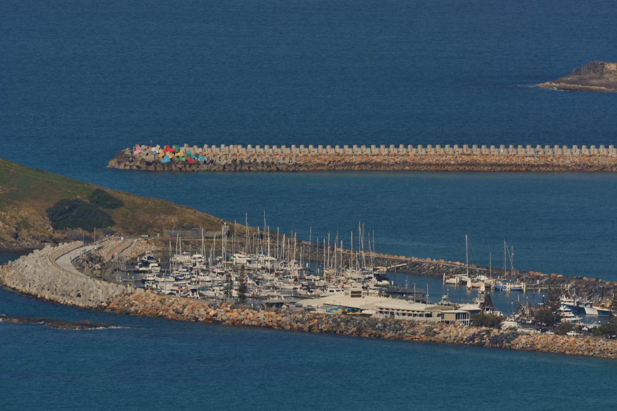 #scape366.com 147 - A busy #marina full of #sailingboats, sandwiched between #coffsharbour and #muttonbirdisland, spotted from 300m above at the #sealylookout, #forestskypier. Also visible is the sturdy #southernbreakwall, keeping the #harbour #calm in all weather #coastscape