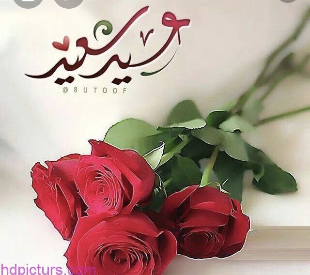 كل عام وانتم بخير