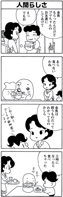 5月26日の#毎朝ゴマちゃん 

「人間らしさ」
時間はしっかり守るゴマちゃんです?

#ゴマちゃん
#4コマ漫画
#少年アシベ 