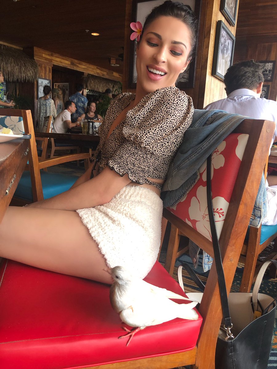 Rachel Lorin tweet media