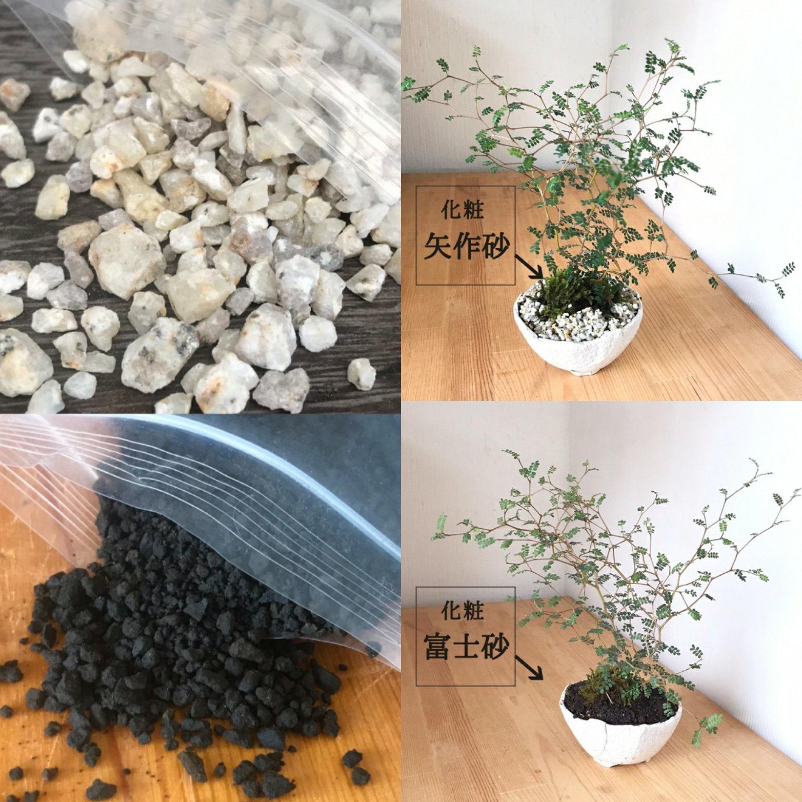 みどり屋 和草 にこぐさ Ar Twitter 盆栽の化粧砂 苔のそばにある脇役ですが 盆栽を彩る味のある表情を演出してくれます 白っぽい矢作砂 は海岸の砂浜や雪景色など 黒い富士砂は山奥の神秘的な風景や夜の漆黒を創り出してくれます みどり屋和草 和草 盆栽キット
