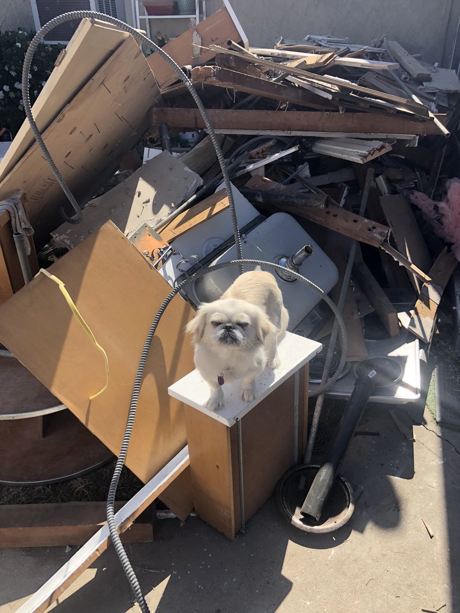 thatstarwarsgrl's tweet photo. Now that tearing down walls/floors/cabinets is done I get to load all this crap into the truck while the guys finish the plumbing. Intense sweating here I come 😅💪👷♀️ #remolding https://t.co/09eJ3DP4Pf