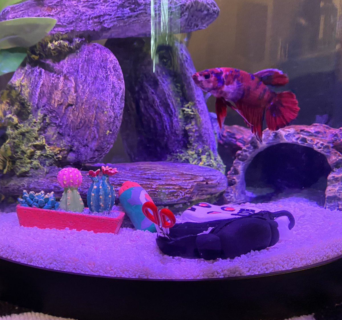 TurnBomb15's tweet photo. Howie ordered a bunch of AT supplies on amazon and I caught him red-handed #ATpets 
[please bring back sports or take away my clay] https://t.co/JPunIquE78
