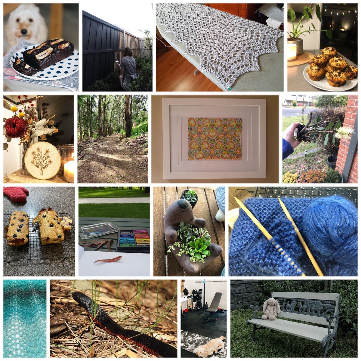 Camden Libraries Aus tweet media