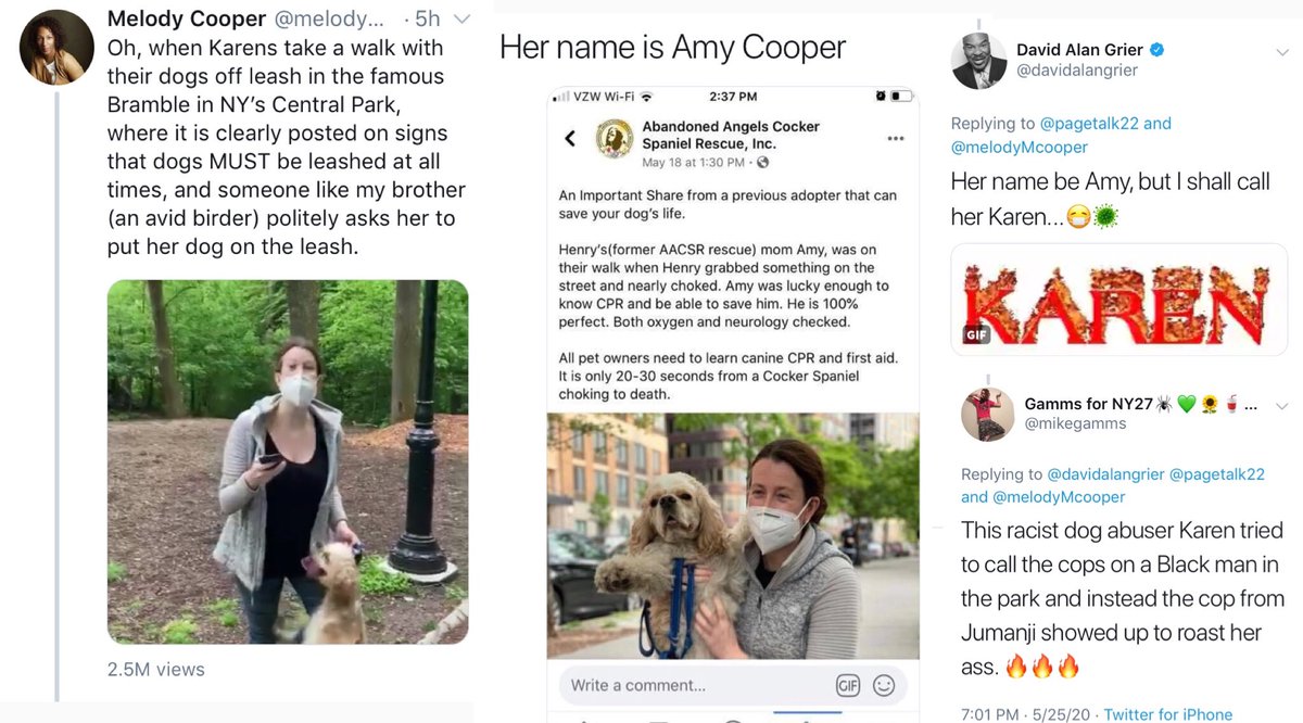 SuperQueerPunks's tweet photo. @Khadija3281 @mikegamms @davidalangrier @pagetalk22 @melodyMcooper There is video of the racist dog abuser calling the cops (see above) but David Alan Grier roasted her here on twitter (see above$). Here is a visual aid of today’s sequence of events thus far. https://t.co/aBOObD75pH