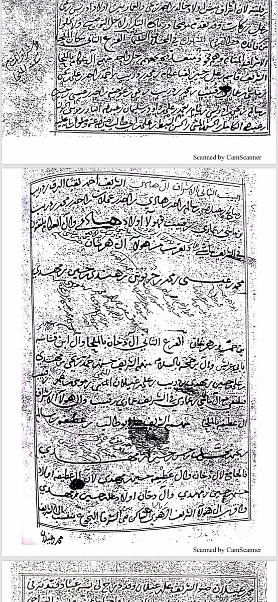 بعض اعمده أنساب الاشراف المثام . ذكره العلامة/ السيد محمد حيدر القبي النعمي ت : ١٣٥١هـ
من كتاب الجواهر اللطاف المتوج بها هامات الاشراف سكان صبيا والمخلاف .