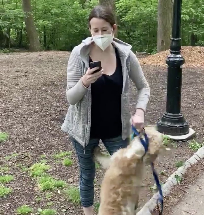 More confirmation: In a FB post, Amy was praised for giving CPR to her rescue dog Henry. @NYCockerRescue may want to get Henry back as Amy choked him while trying to lie on a Black man to police who requested she follow park rules.