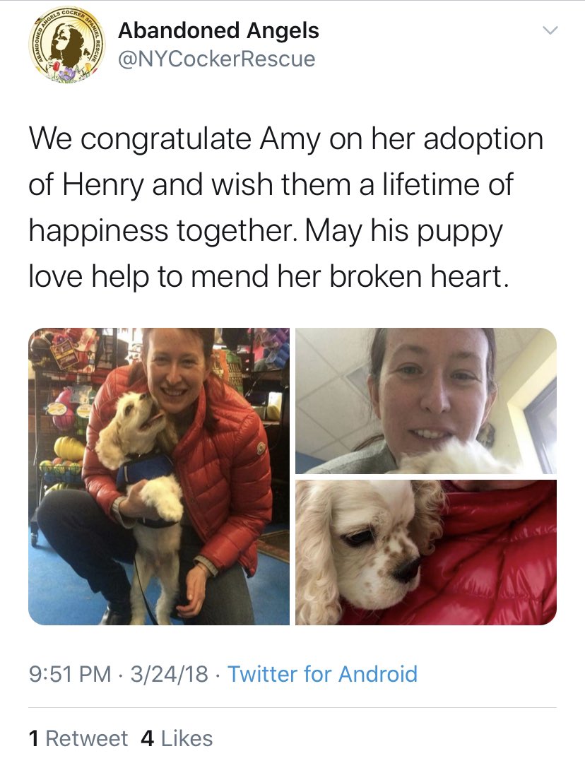 According to  @NYCockerRescue, Amy Cooper adopted Henry 2 years ago after her former Cocker Spaniel, Ollie, was “lost.” #WhatHappenedToOllie?
