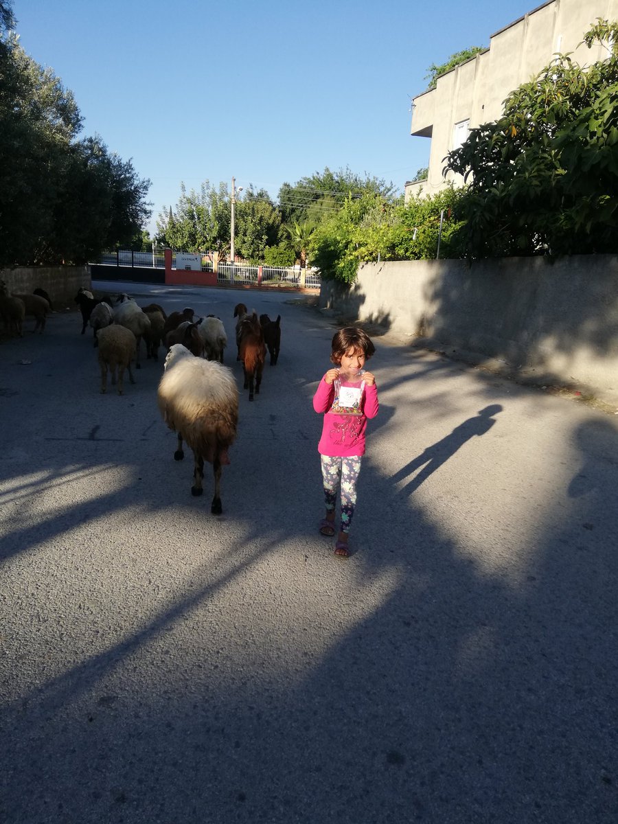 MusallaGllr's tweet photo. Mahallemizde dağıtılmak üzere sabun ve şeker paketlemeleri başladı. Sevgimizin gücü her yeri saracak. #sevgi #MusallaGönüllüleri
#şeker #birlikberaberlik https://t.co/Xm7O2okAee
