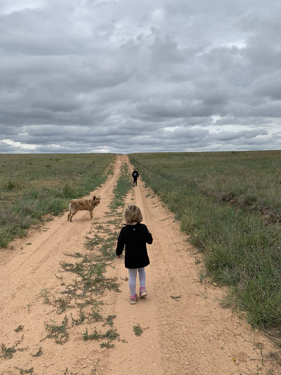 TiffDowell's tweet photo. We had a lot of success! Found Indian blankets, antelope horn milkweed, TX salvia, and daisies. Only problem was Mama couldn’t research fast enough. #momlife #ranchlife #checkingcows #plantid https://t.co/04Y3pqHNtn