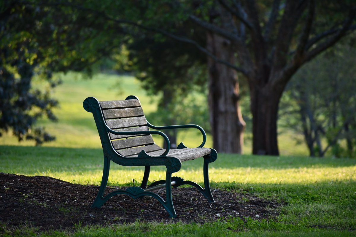 CathyLaDuke's tweet photo. Sitting Alone .. #Nikon #photography #frontcampus  #photoaday #Day2 https://t.co/FBkSBTltdH