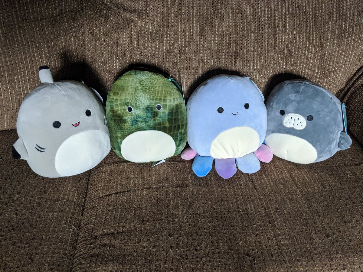 rascalrooo's tweet photo. @squishmallows Our new Canadian sea life squad has given me most of what I need!! 🌊🌊🌊

....But I will happily accept some fruits if you want to send them North...... https://t.co/0ztVrZgl25