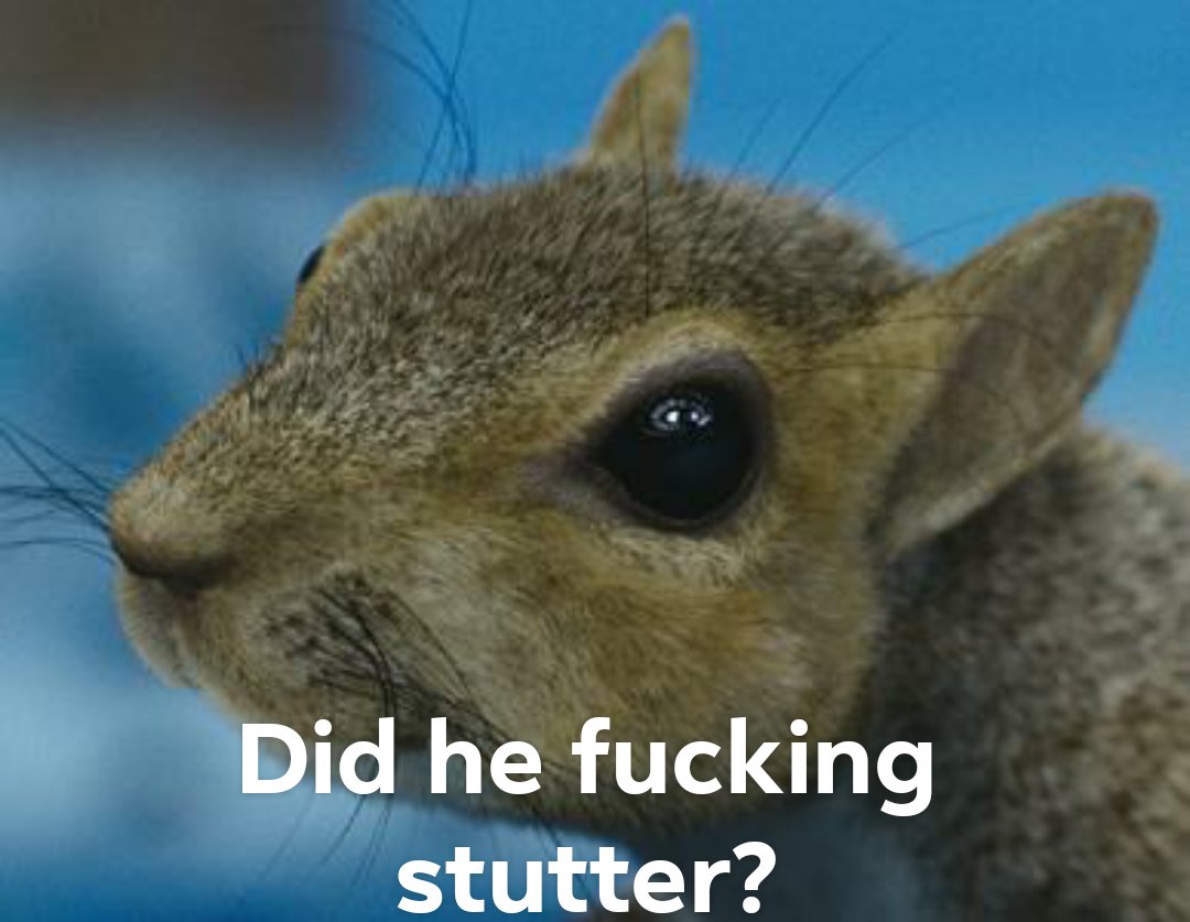 Wonka: don& #39;t touch that squirrels nuts! It& #39;ll make him crazy!Veruca: touches the squirrelSquirrel  #39917: