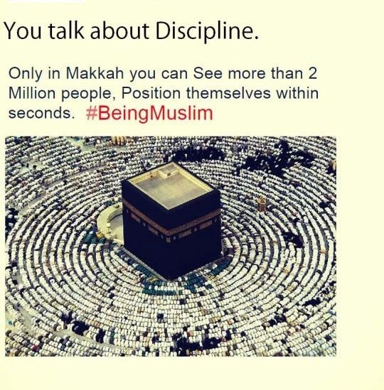 Zakia Zakia tweet media