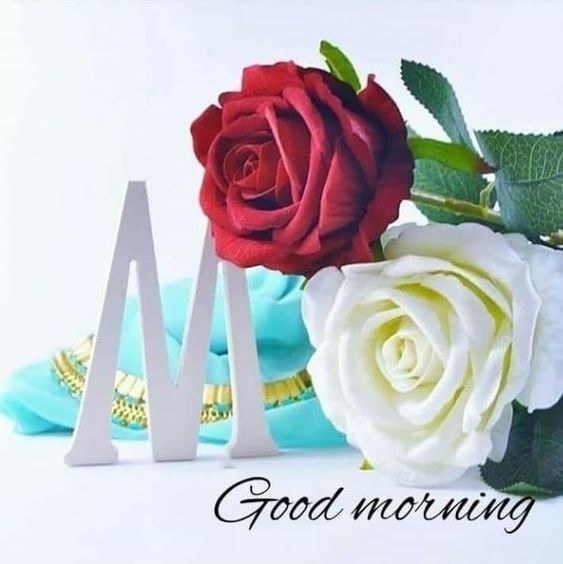 Margaeta1's tweet image. #26maggio 
#goodmorning 
L'amore e la magia hanno molto #inComune Arricchiscono l'anima 
 Delizia il cuore ed entrambi prendono pratica ..
#BuongiornoATutti iniziamo questa bella giornata di sole 🌞🌞🌞vi auguro una splendida giornata #buonmartedi 😘⚘❤⚘🌺