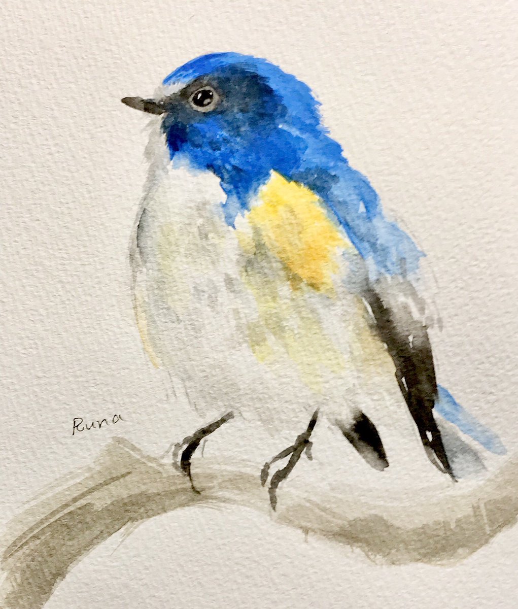 ルリビタキ。 #一日一絵 #水彩画