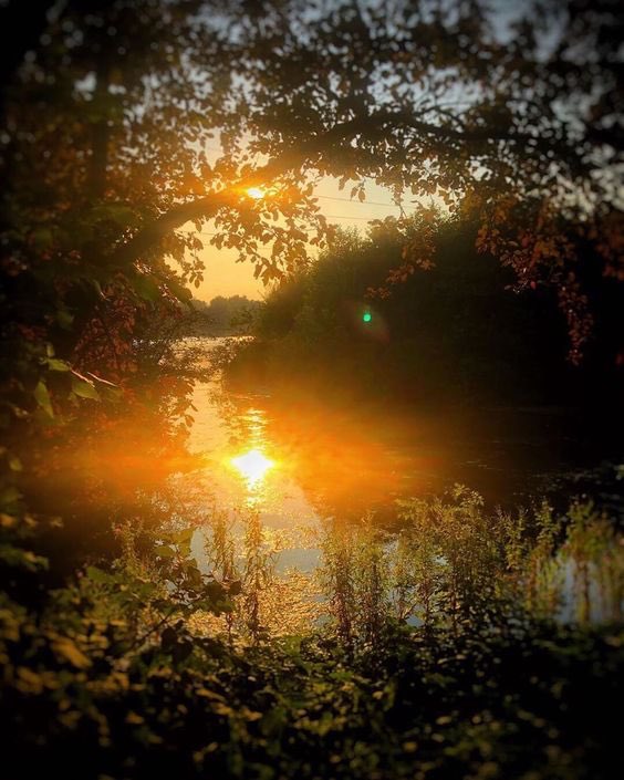 “Goooood morning world 🌎 Open your eyes because it is a privilege to wake up every morning.... until you don’t anymore... count your blessings, rise and shine before it is to late ☀️🎉” #MBDquote “Gratitude and attitude are not challenges; they are choices."