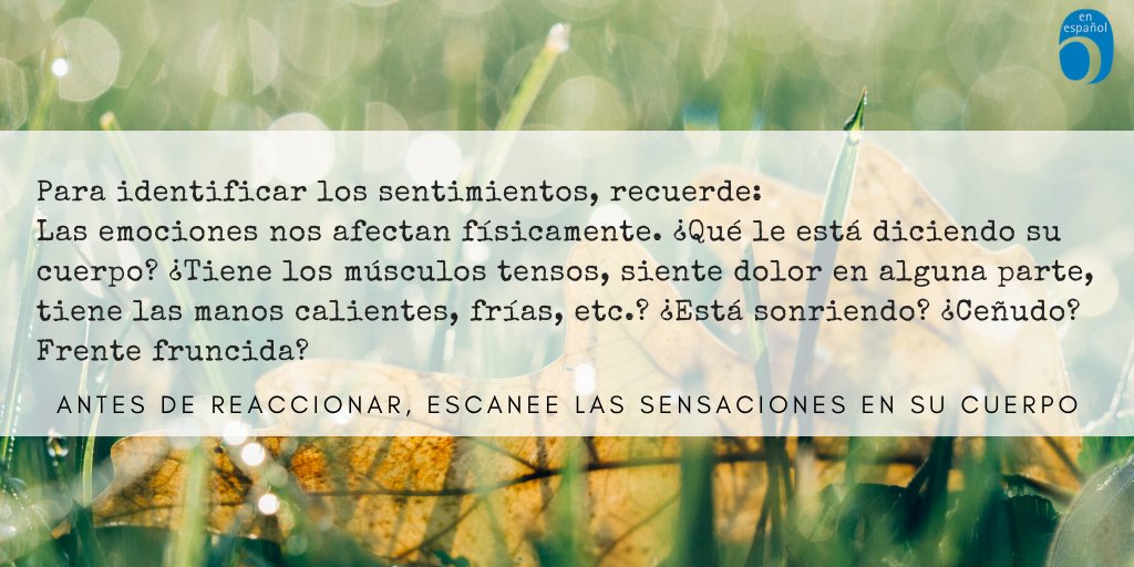 inteligenciaemocional tweet media