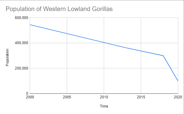 gorillaislife's tweet photo. What!? The population of the western lowland gorilla is dropping drastically! Within a few years, this species of gorillas will never be seen again! In 2020, there are only around 100,000 of these gentle creatures. We have to save them! #SaveTheGorillas #pray4harambe https://t.co/IWOUA6m9uY