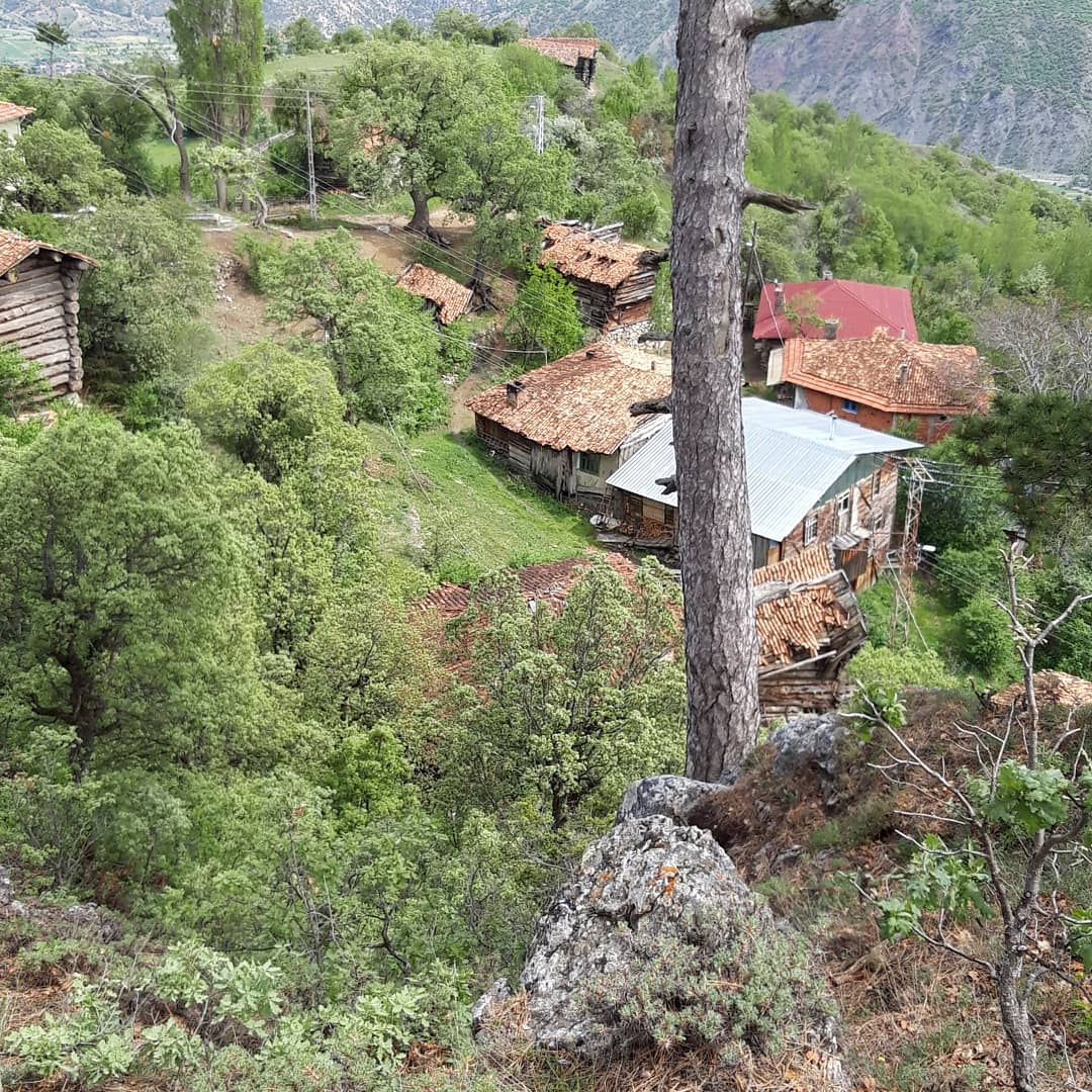 Selâmün aleyküm herkesin Ramazan bayramını kutluyorum hayırlı bayramlar dilerim