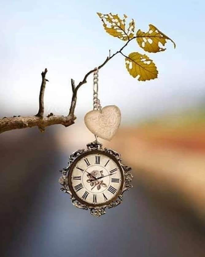CreatedSa's tweet photo. Romans 13:11 
Do this, (unselfish love that is the fulfillment of the Law) knowing that this is a critical time. 

It is already the hour for you to awaken from your sleep (of spiritual complacency) for our salvation is nearer to us now than when we first believed (in Christ)." https://t.co/iQmN8EG6LB