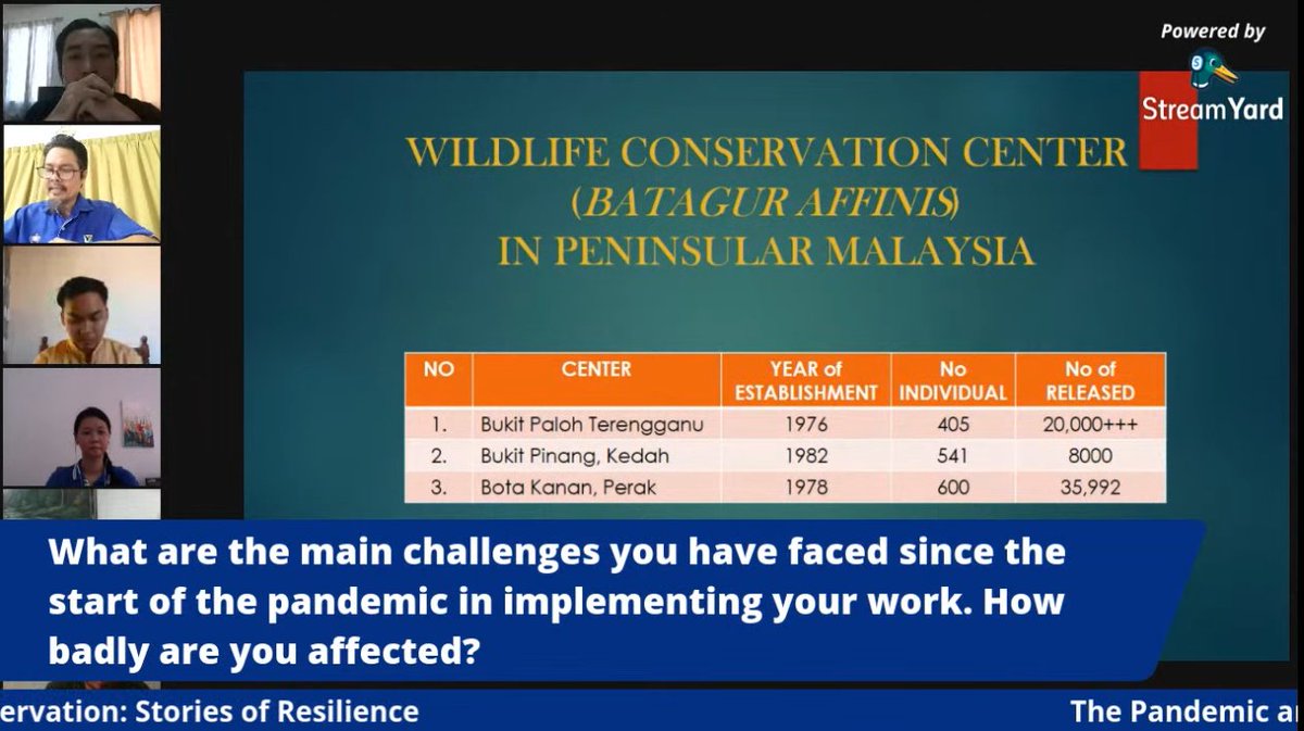 This is the first time an  #MCO has been implemented in Malaysia, and it has restricted the movement of many staff working on the Department's conservation work of Batagur affinis.