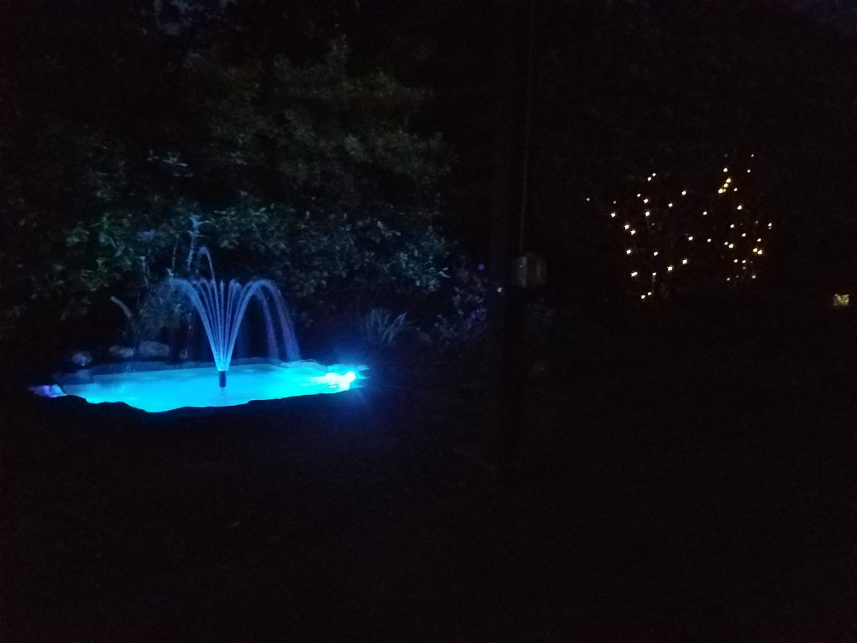 Been busting my butt working around the yard when I'm not at work. Starting to pay off. Finally getting a chance to sit down on the back patio and enjoy my creations.