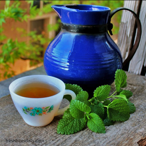 NightlyNettle's tweet photo. Yesterday I fresh picked &amp; sipped a lovely tea of nettle and lemon balm. I added a few drips of honey to taste. 
Oh my! 
Spring-in-a-cup!
Recipe and effects:
https://t.co/UB7fl8pfqt

#nightlynettle
#springtea
#lemonbalm
#nettle
#stingingnettle
#soothingtea
#takeamoment
#enjoytea https://t.co/dVuwmCNToK