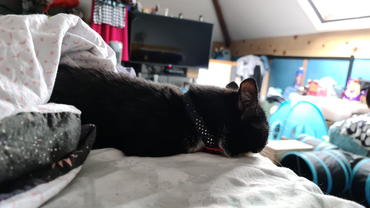 SmolHolly's tweet photo. 10/05/2020
Sometimes I like the quilt 😊 https://t.co/4z2Rfgr1hs