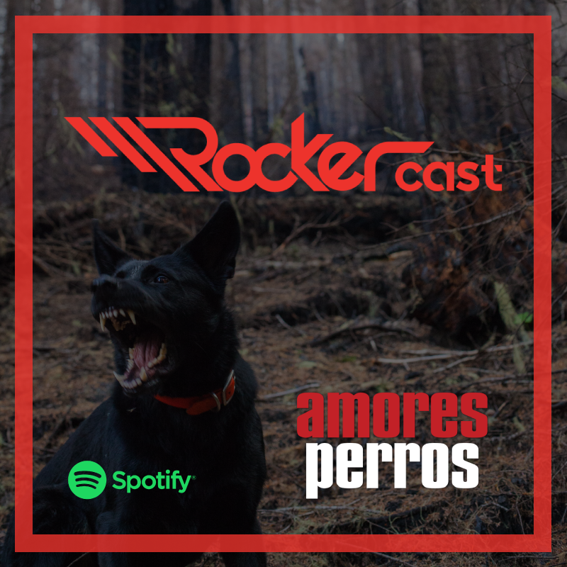 Rocker.mx tweet media