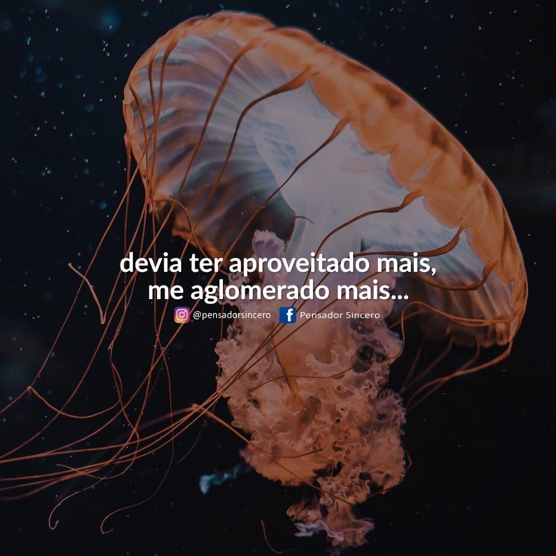 bobeirola's tweet photo. Saudade da rua ne, Drauzio... https://t.co/ZkSTKqu32v