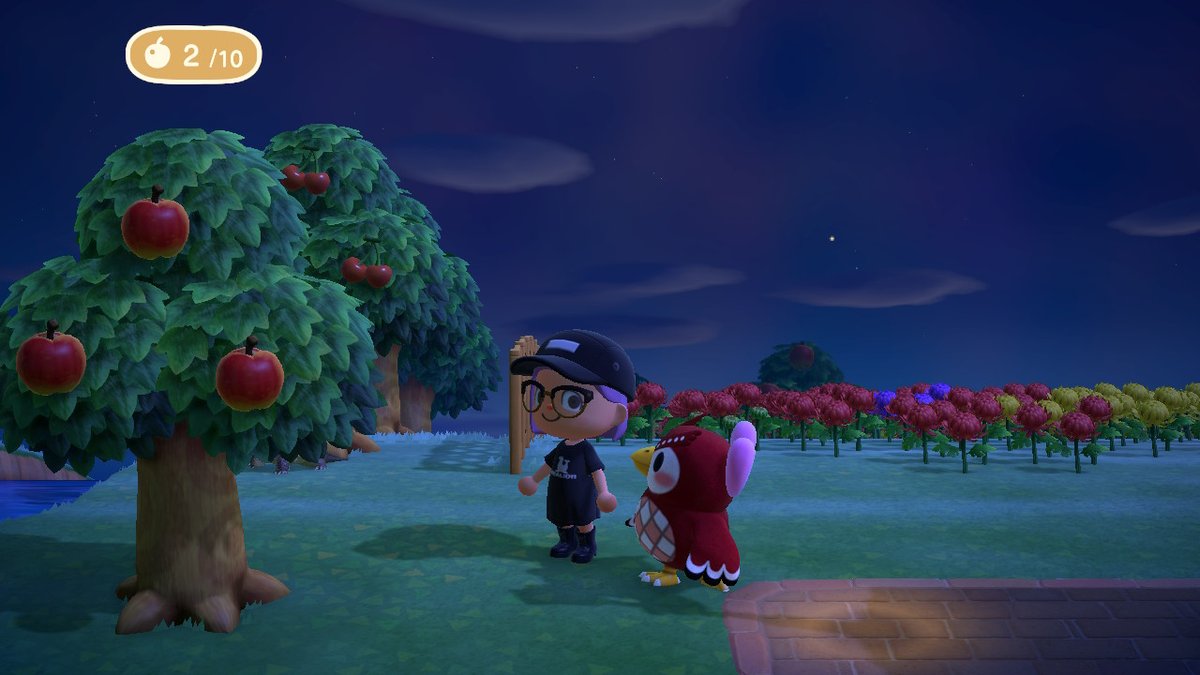 AnaV43839337's tweet photo. Celeste and I taking a stroll. #Celeste #ShootingStars #AnimalCrossing #ACNH #NintendoSwitch https://t.co/6fDbvgEW6w