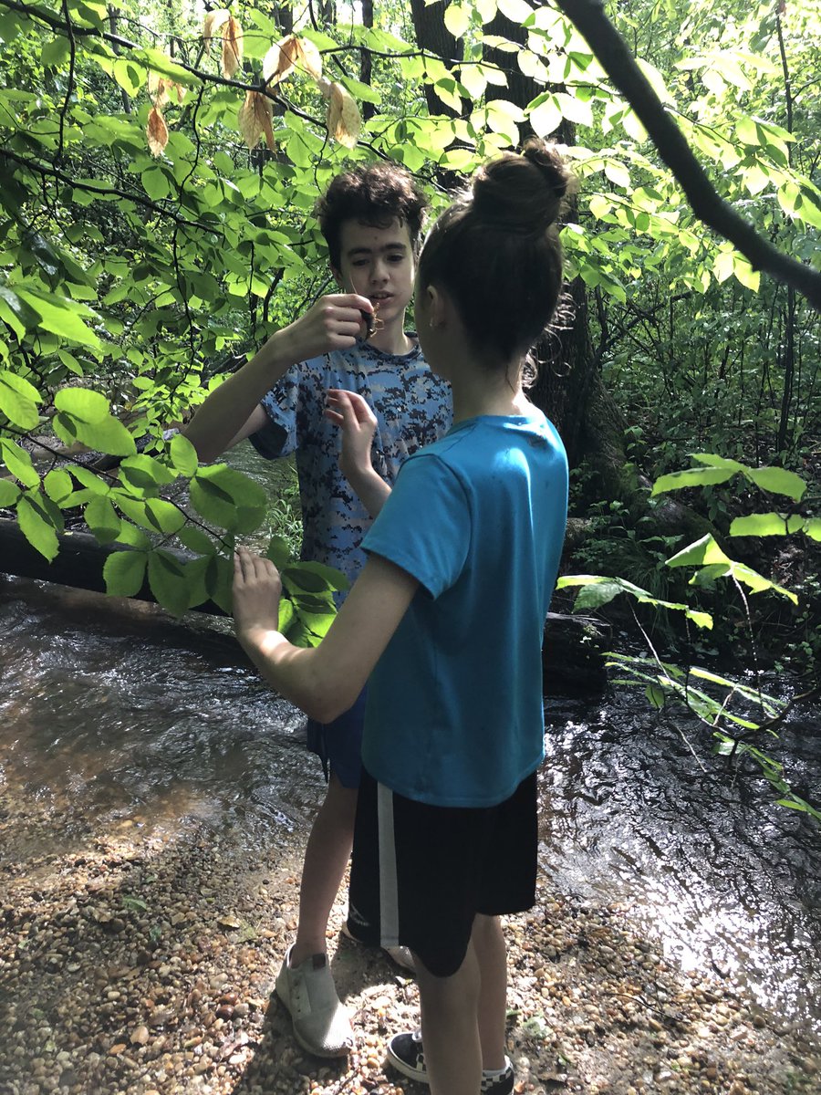 fcps_cangemi's tweet photo. #MeaningfulMay Day #24... do something special today. Enjoyed a great day hiking and exploring new areas while on our camping trip. The fresh air, pure joy and laughter shared with my family was just what we all needed. #wolfpackstarpower https://t.co/rp7KYN2y5e
